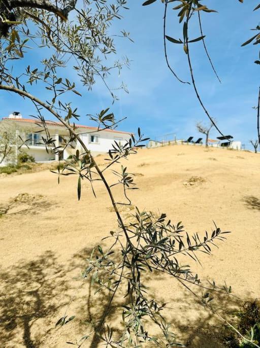 Reis House Villa Torre de Dona Chama Dış mekan fotoğraf